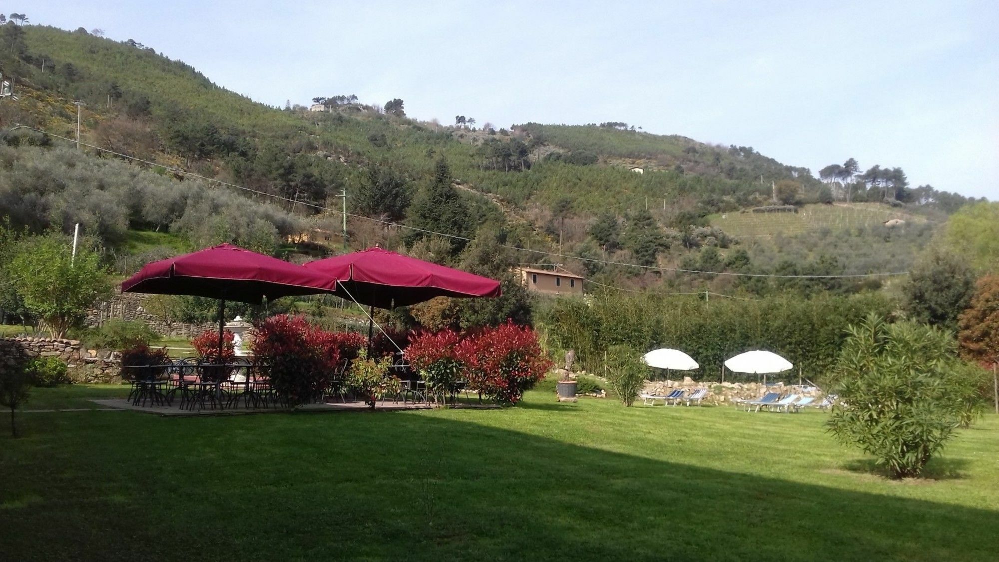 B&B Il Villano Capannori Exterior foto